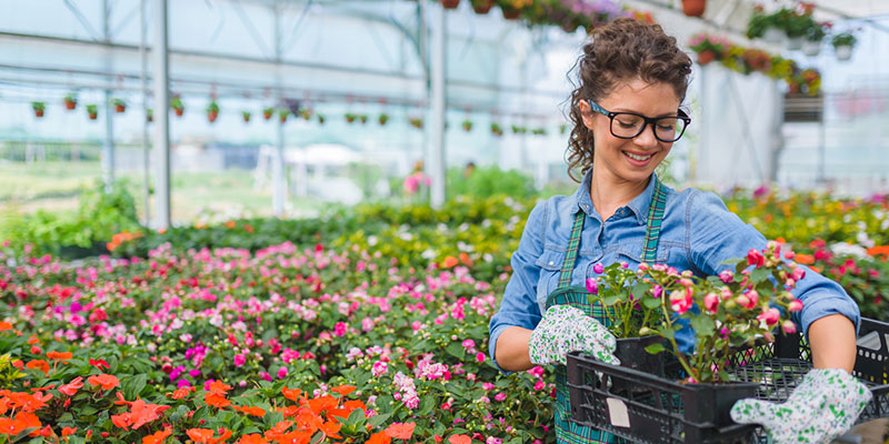  temperature and humidity monitor is often used to keep an eye on conditions of the livestock