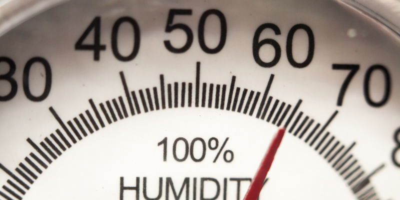 When you need a reliable humidity monitor