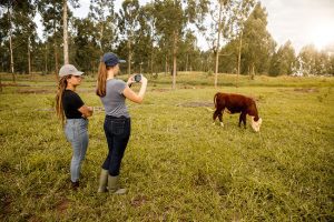 Agricultural Uses for Infrared Thermometer Technology