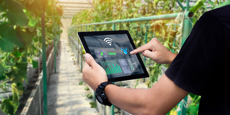 Industries that Benefit from a Humidity Sensor