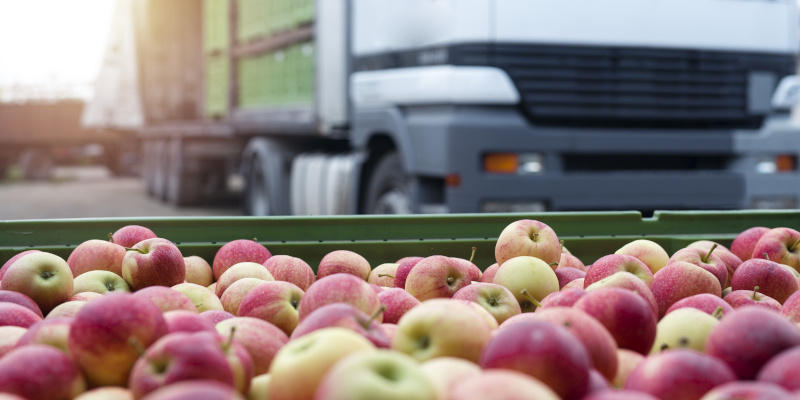 How a Humidity Monitor Helps Restaurants Slash Food Waste