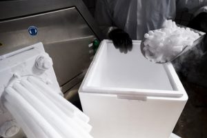 Why Dry Ice Temperature Monitoring is Crucial in Pharmaceutical Transport