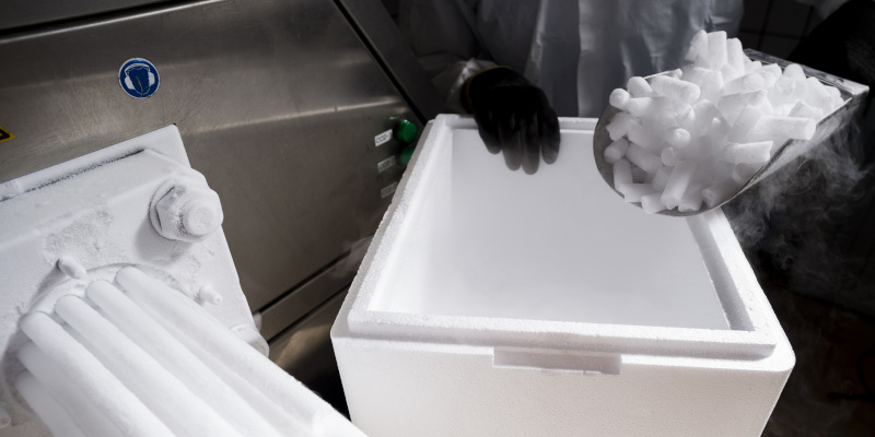 Why Dry Ice Temperature Monitoring is Crucial in Pharmaceutical Transport